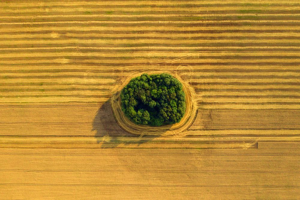 Photograph by Вячеслав Тиханский