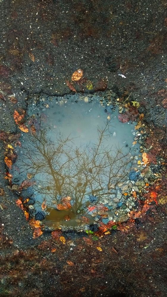 Photograph by Светлана Безъязычная