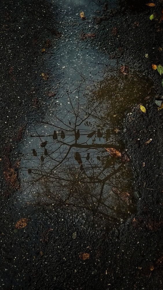 Photograph by Светлана Безъязычная