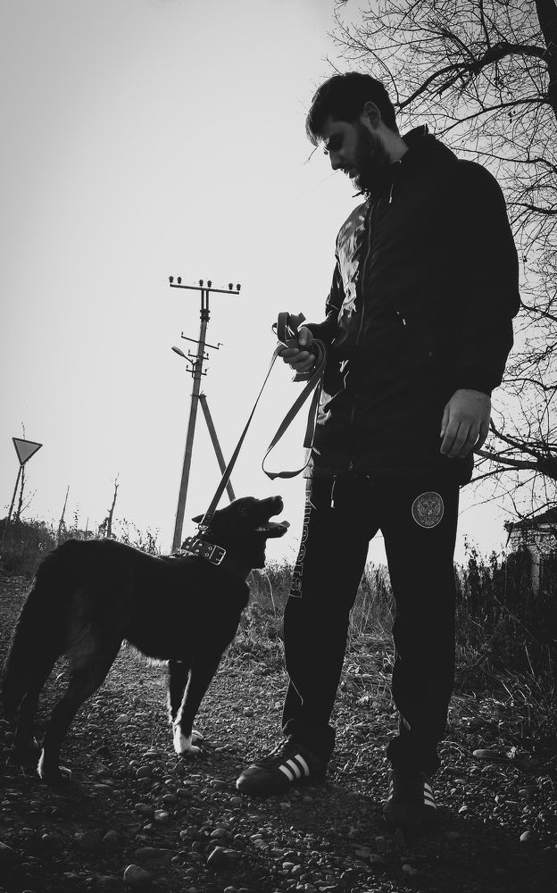 Photo #6800771