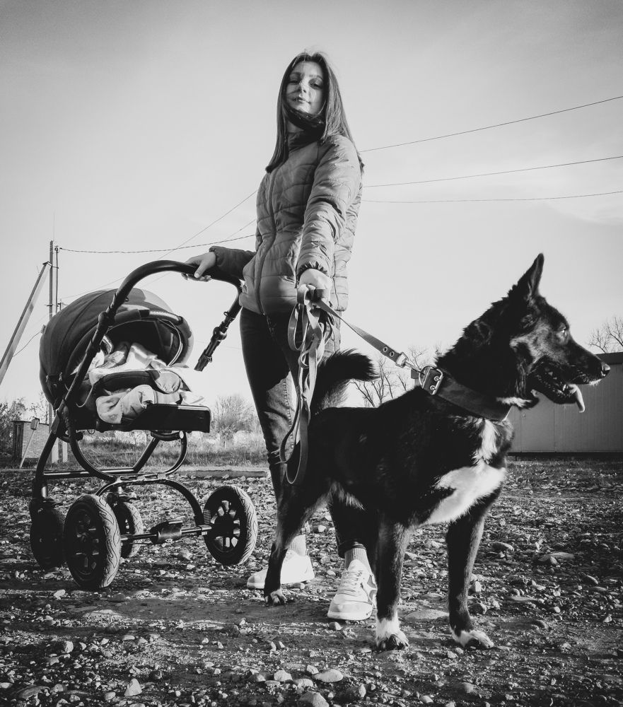 Photo #6800772