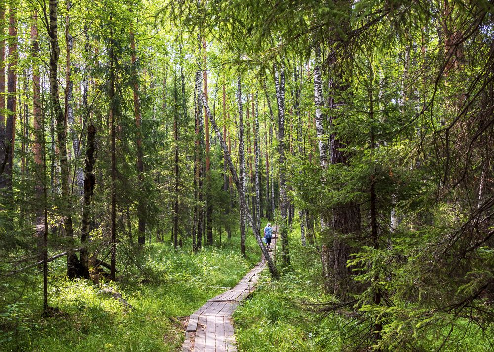 Photograph by Сергей Киселев