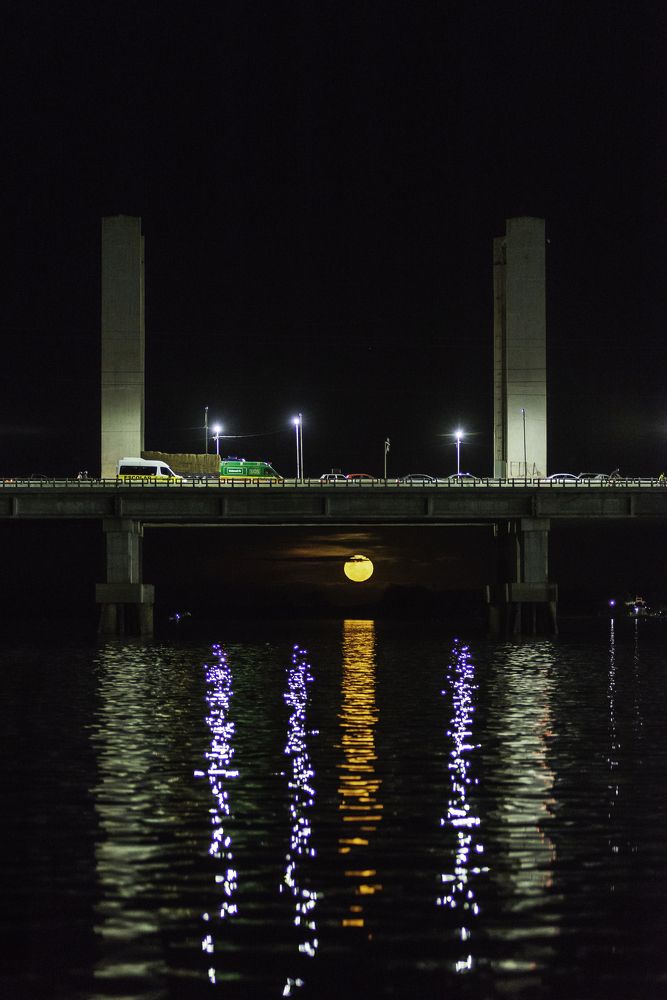 Photograph by Marden Acampora