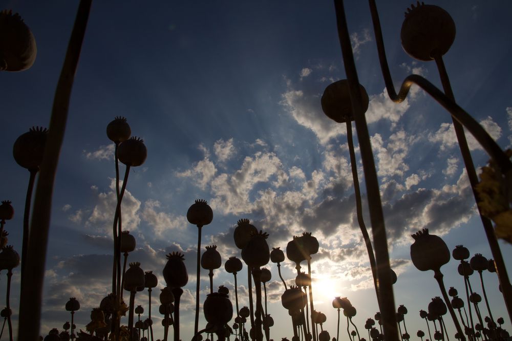 Photograph by Ufuk Urgun