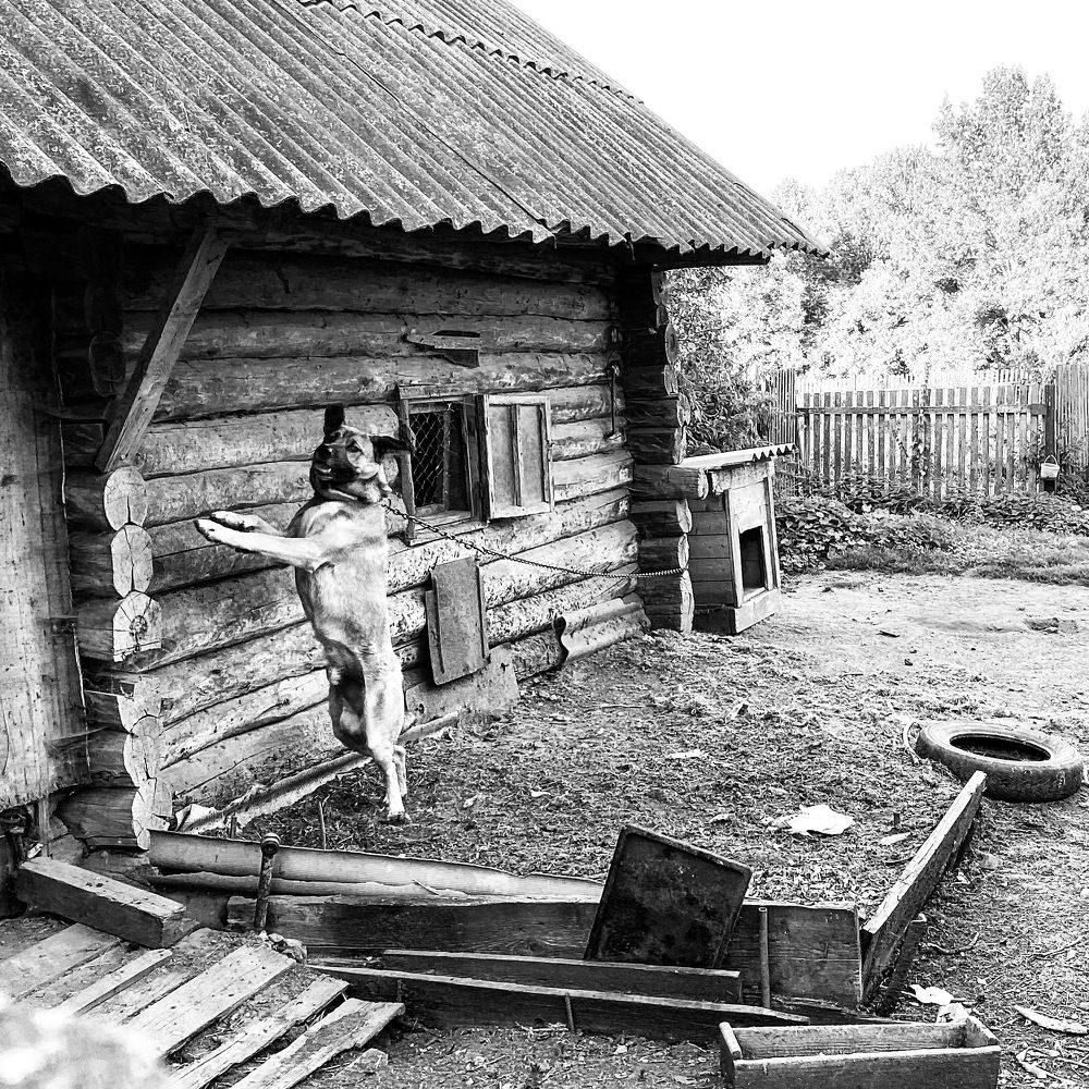 Photograph by Светлана Поляничева