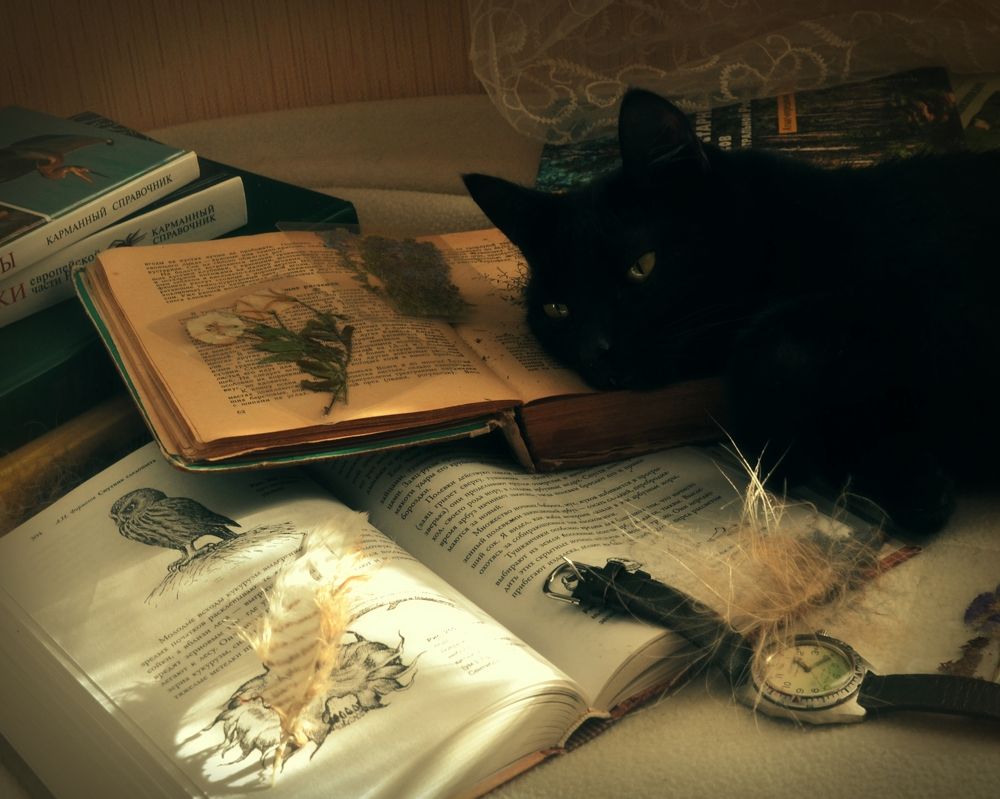 Photograph by Алексей Литвинов