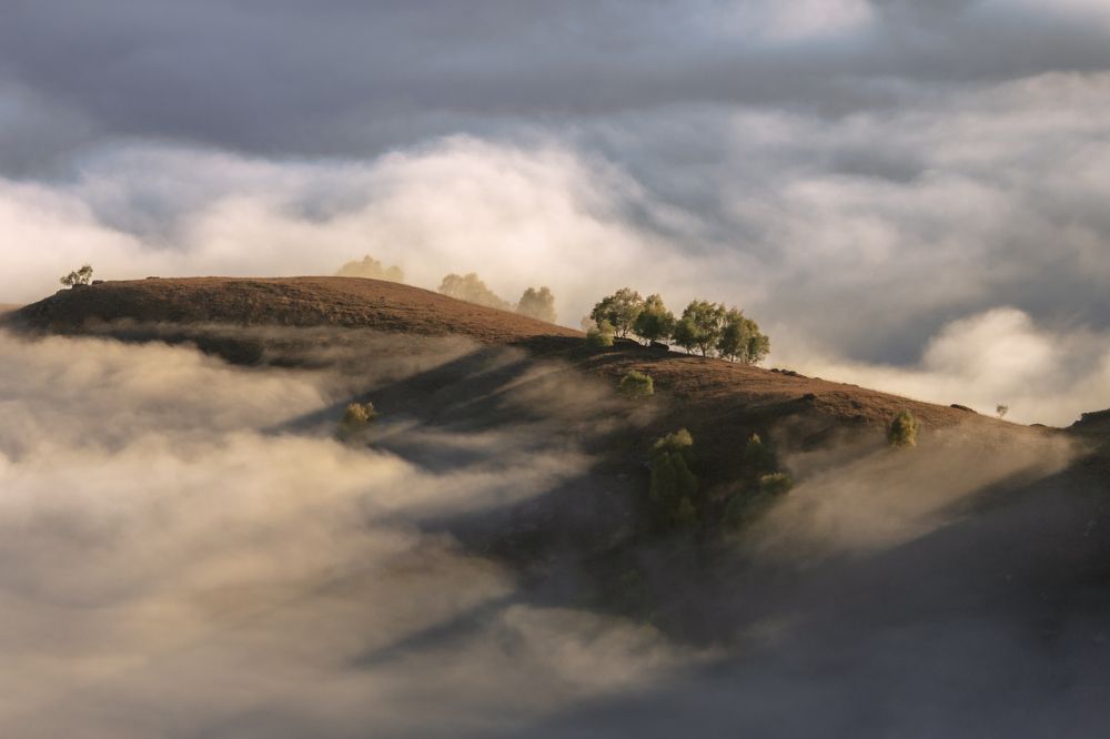 Photograph by Людмила Богданова