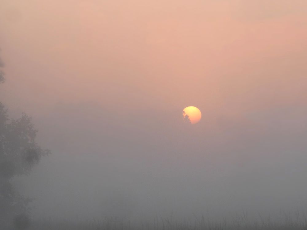 Photograph by Майя Синичкина