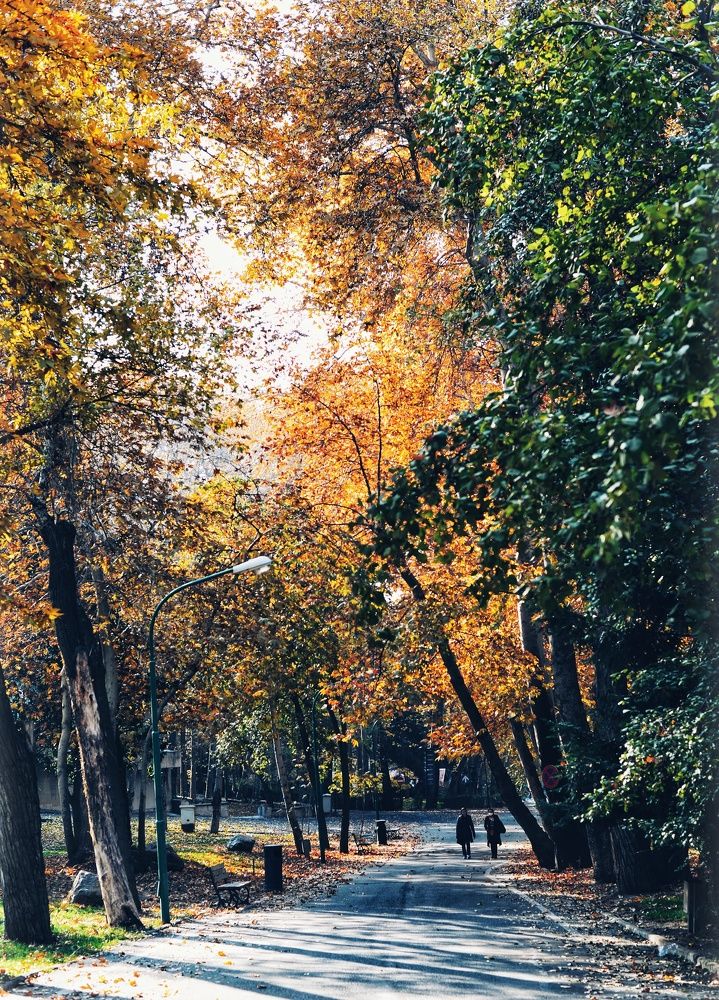 Photograph by Amin Ghovanlou