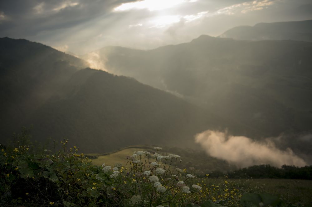 Photograph by Светлана Ермакова