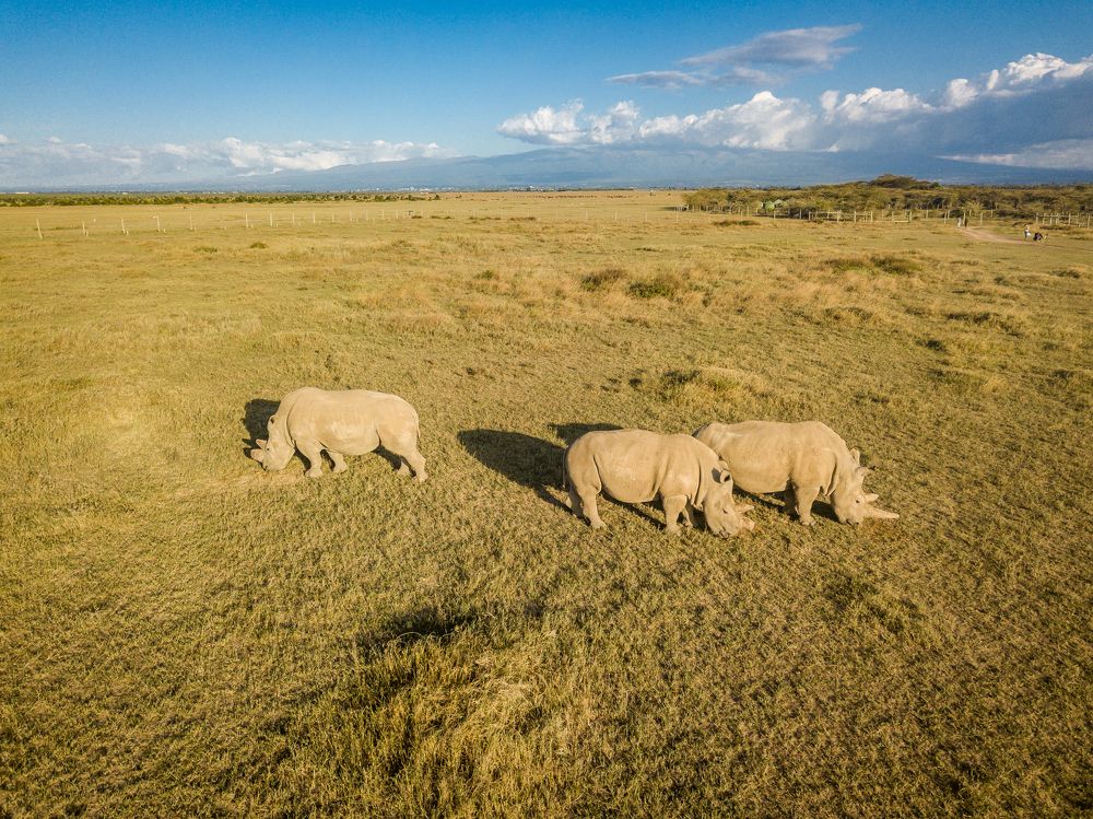 Photograph by Rio Marvin