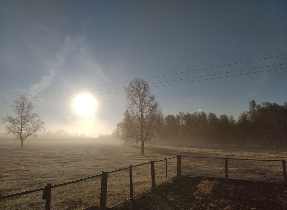 Photo #6801252
