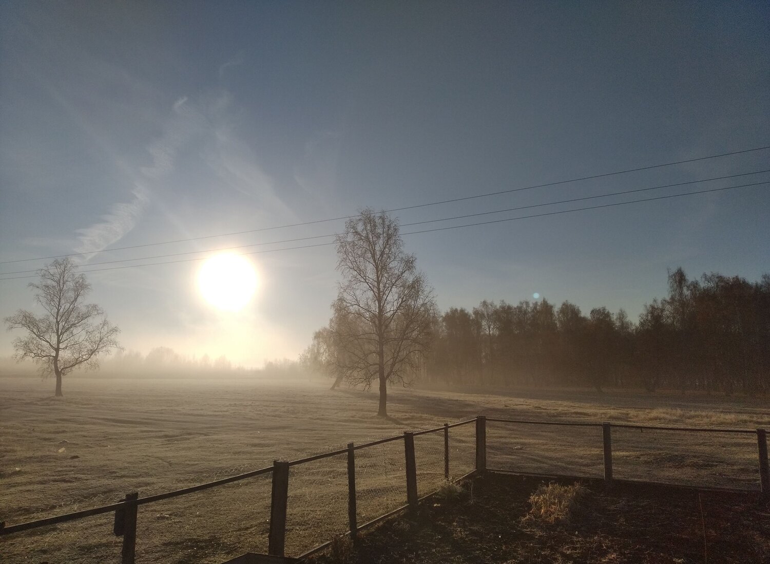 Photo #6801252
