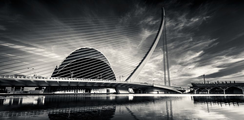 Photograph by Murcia J. A.