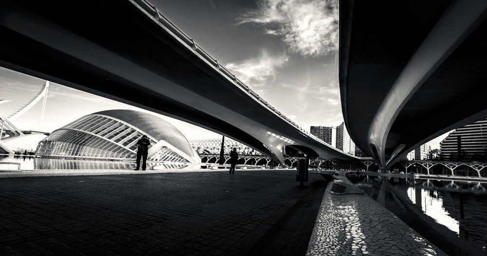 Photograph by Murcia J. A.