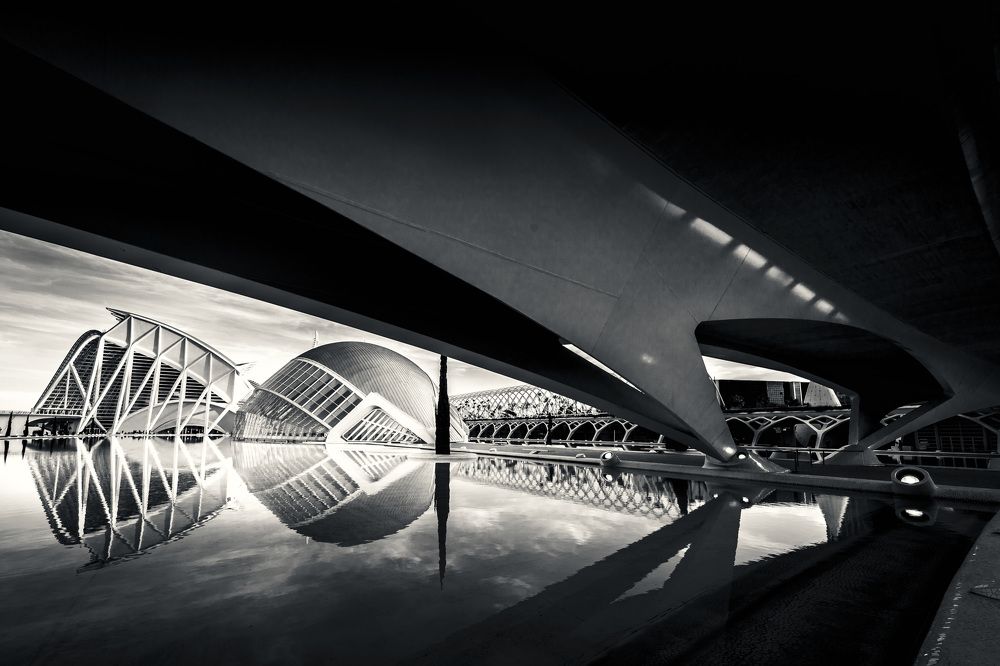 Photograph by Murcia J. A.