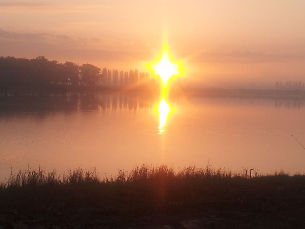 Photo #6801397