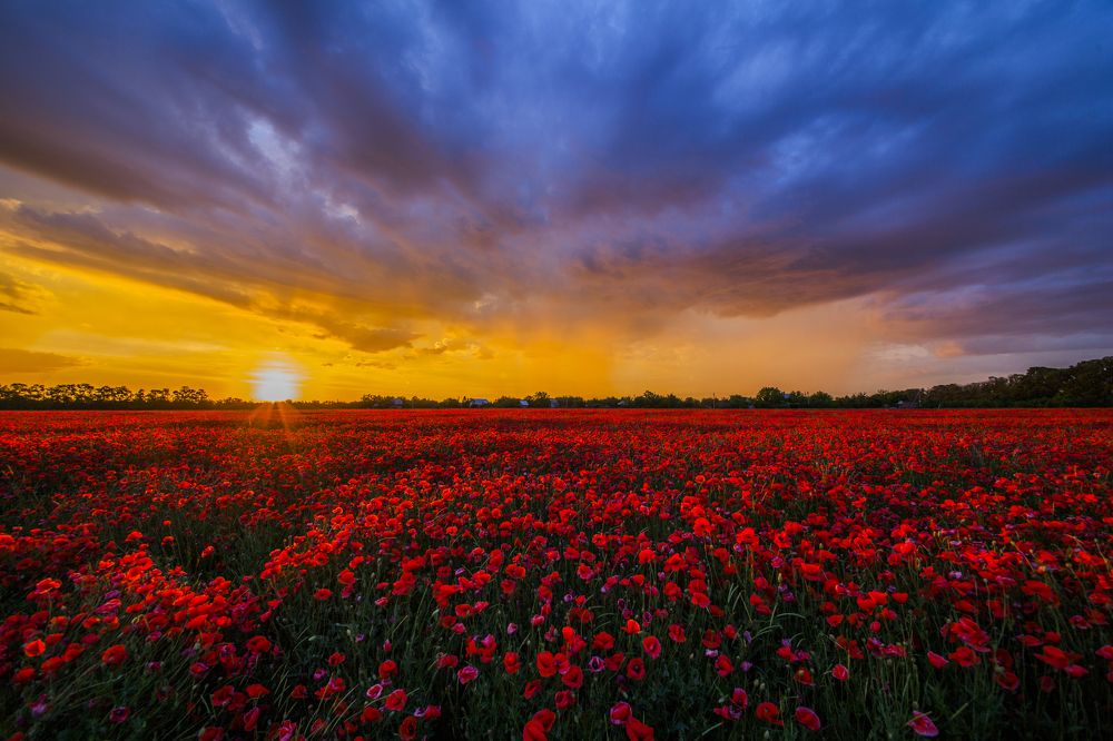 Photograph by Тим Бабурин