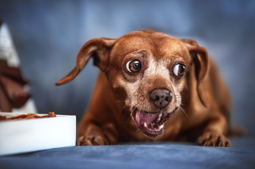 Photograph by Кристина Чижмар