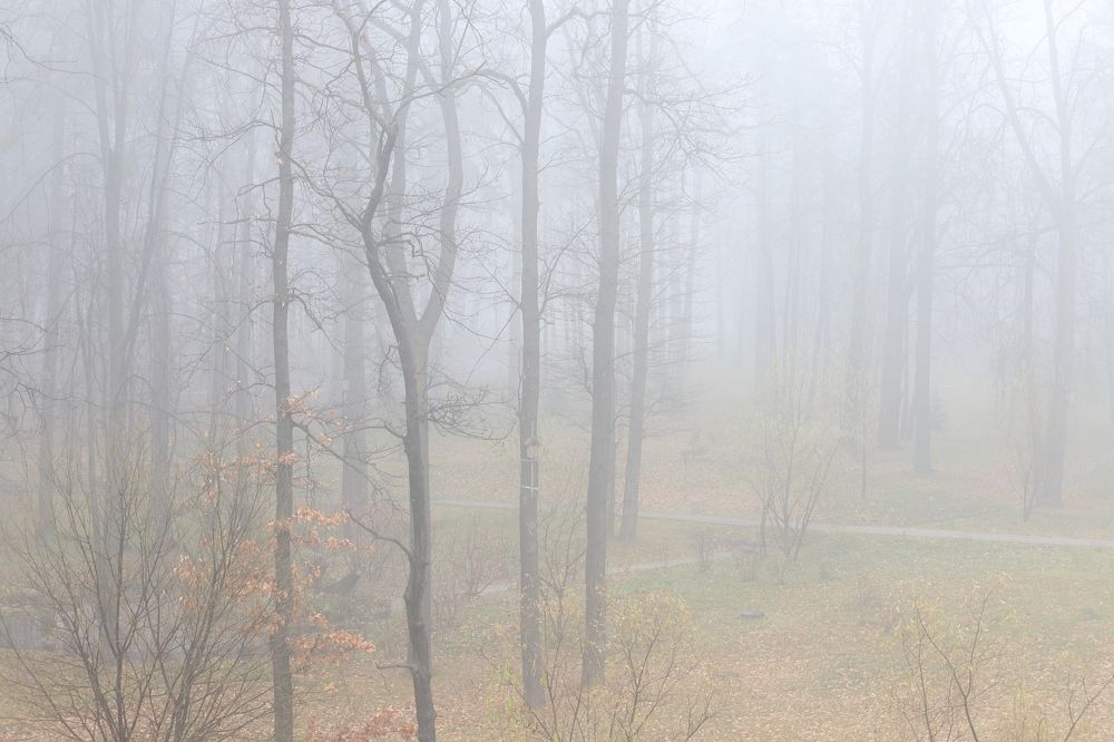 Photograph by Денис Сахаров