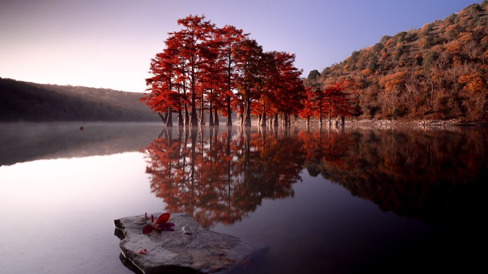 Осенний Кипарис