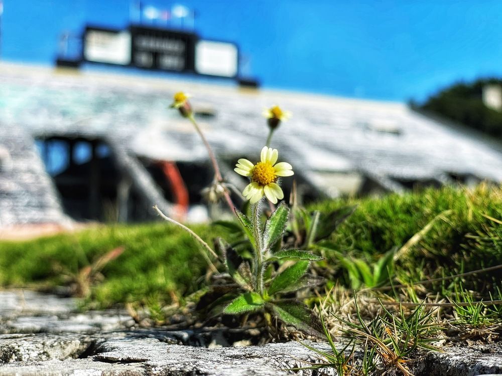 Photograph by Cicero Batista