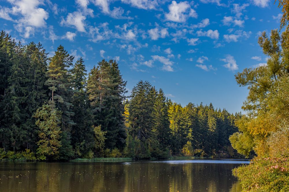 Лесное озеро