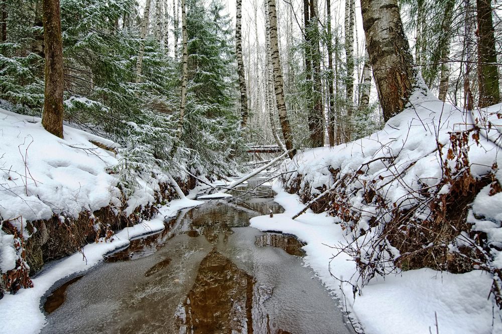 На исходе ноября