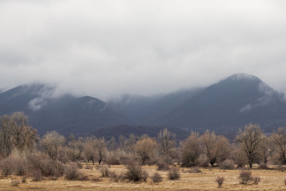 Photograph by Олеся Бучацька