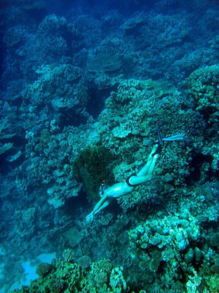 Photograph by Михаил Строев