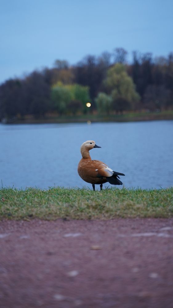 Photograph by Денис