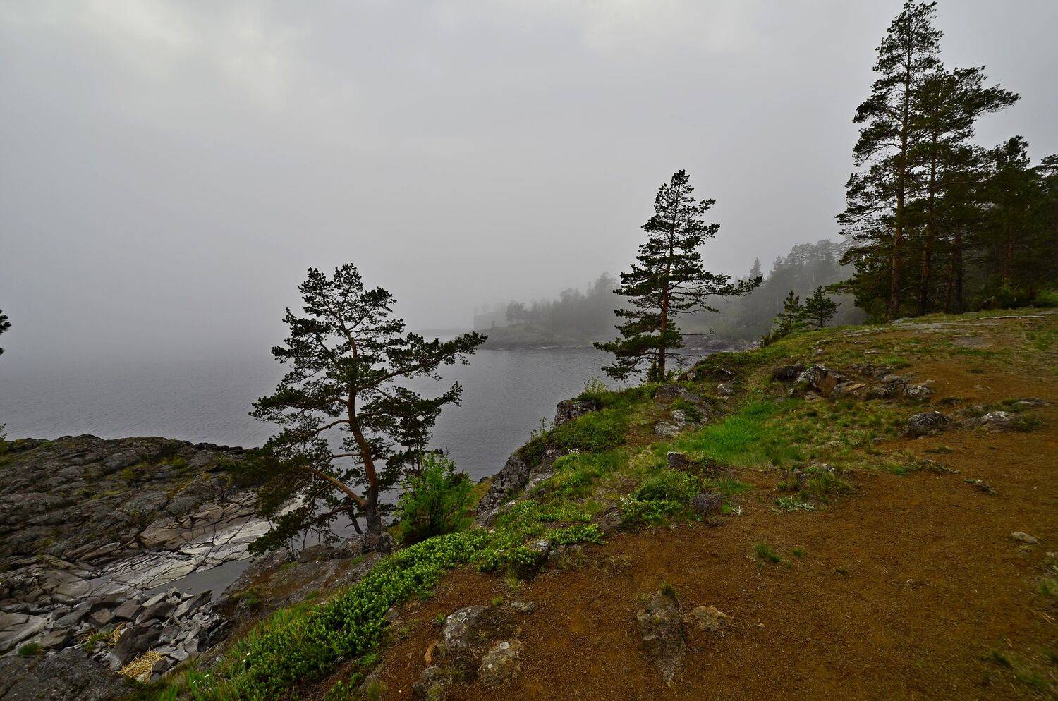 Photo #6801731