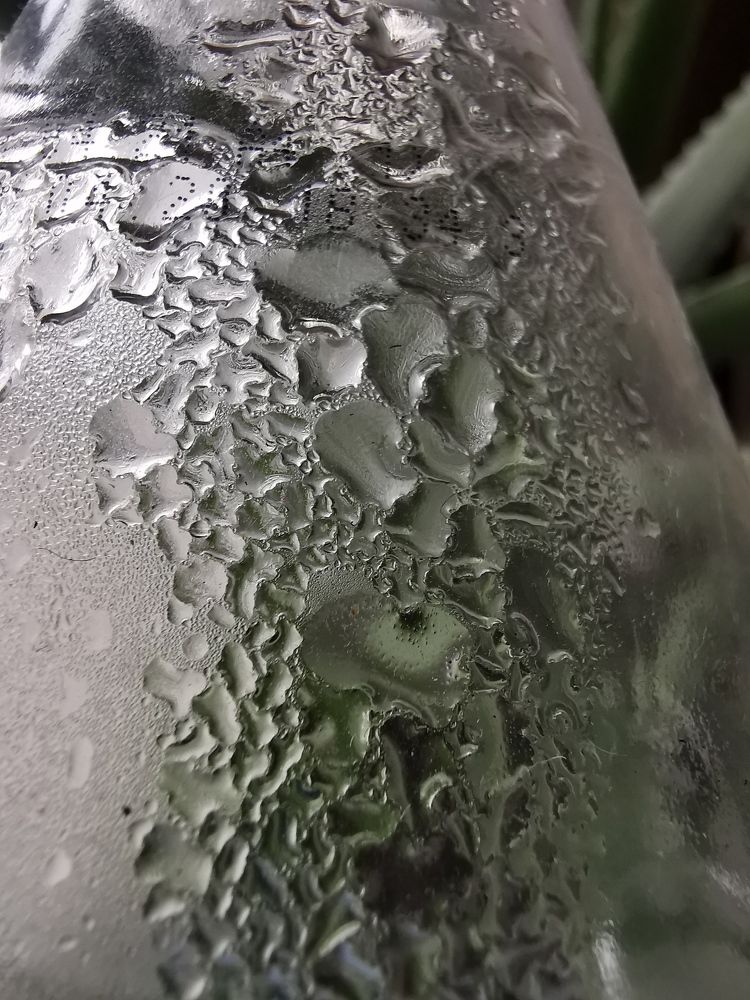 Photograph by Людмила Орловская