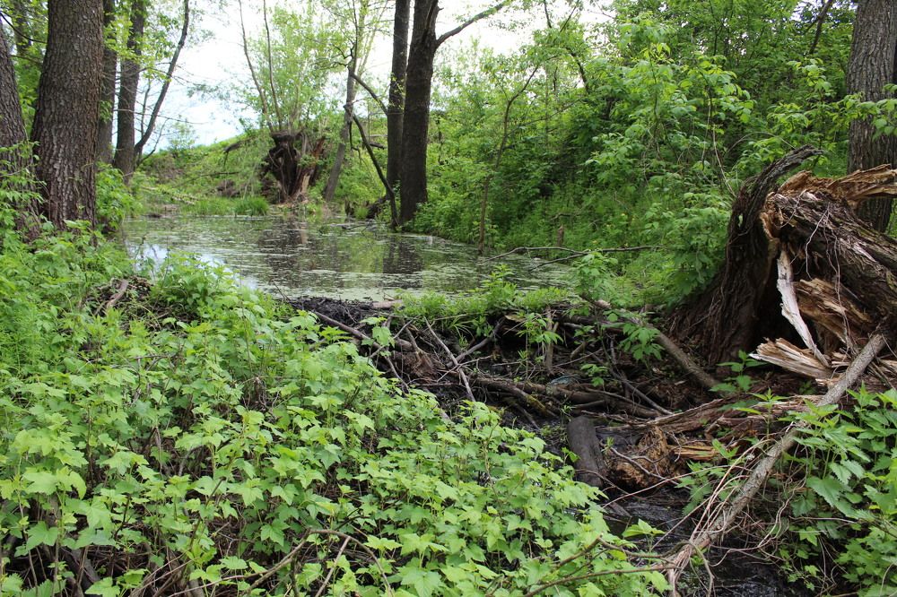 Photograph by Елена