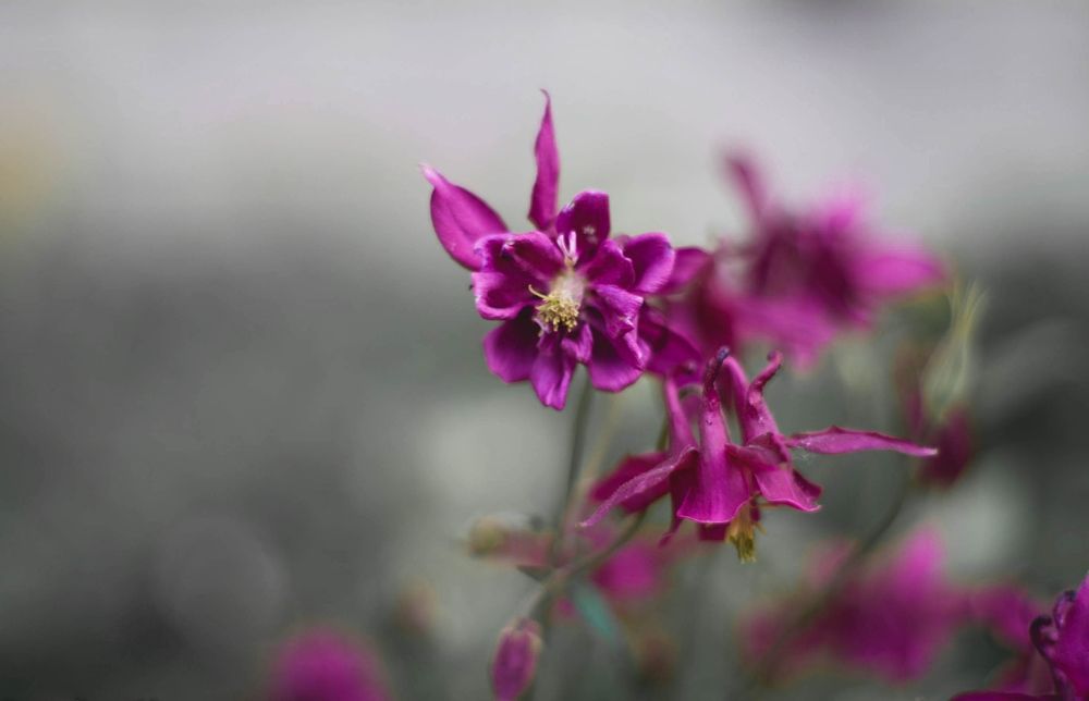 Photograph by Басалыга Ангелина