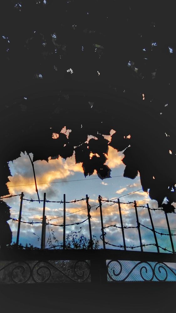 Photograph by Дарья