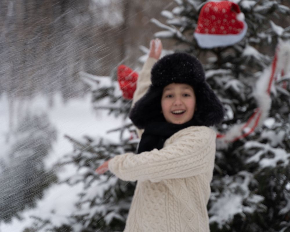 Зимнее приключение