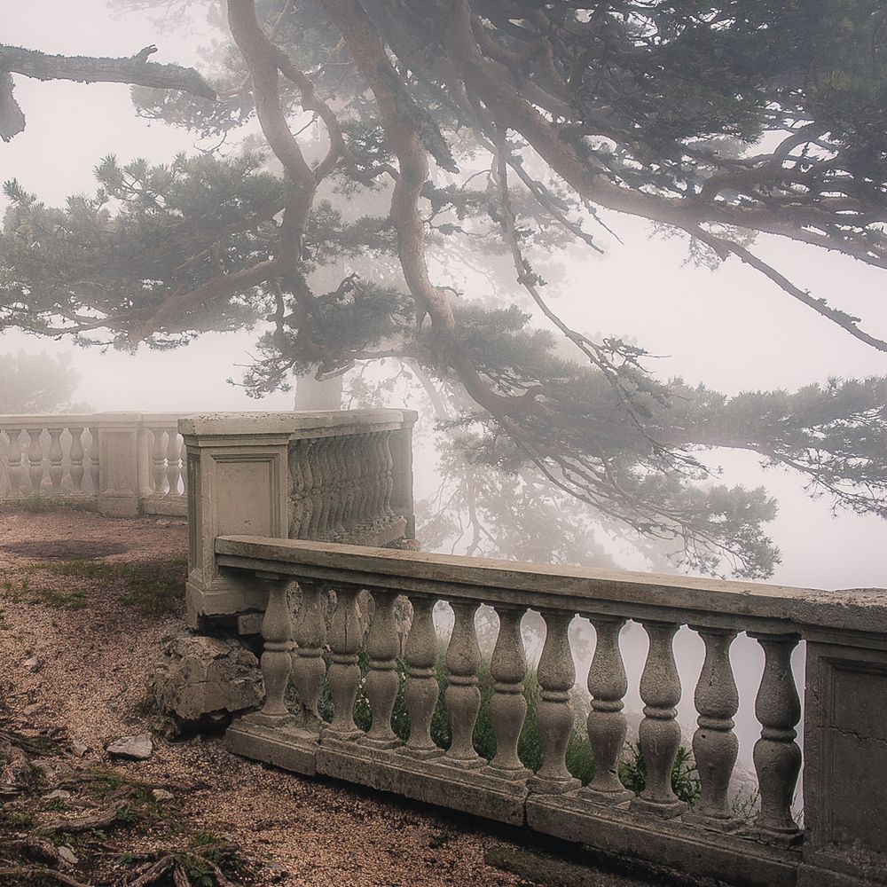 Photograph by Илья Тихановский