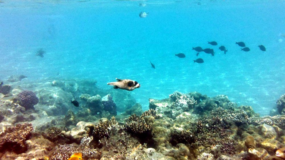 Photograph by Игорь Лотыш