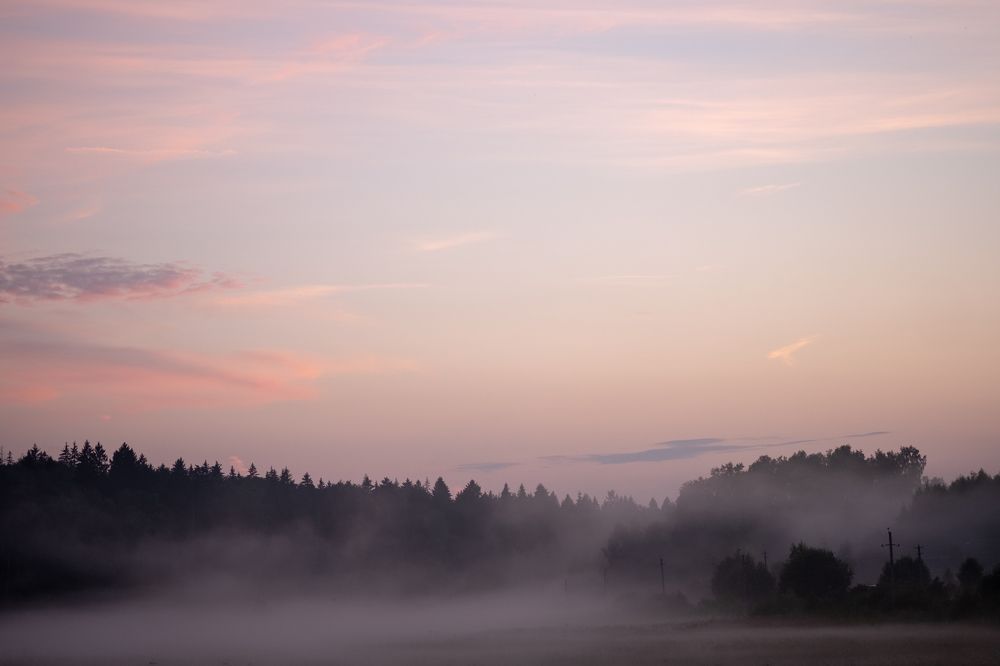 Photograph by Михаил Серебренников