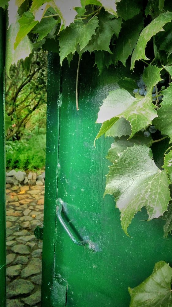 Photograph by Дарья