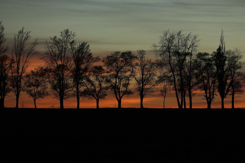 Photograph by Ольга Галецкая