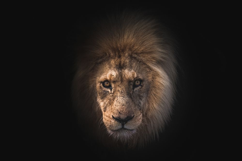 Photograph by Дмитрий Николаев