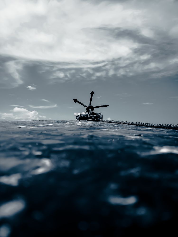 Photo #6802203