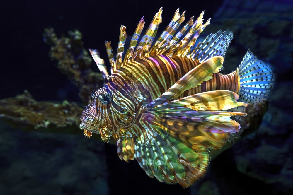 Photograph by Albert Zhager