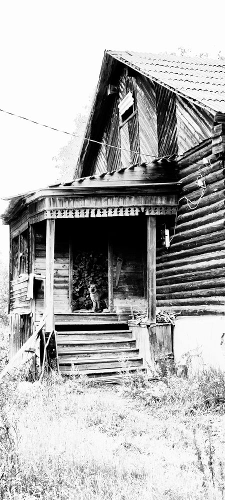 Когда ты дома один