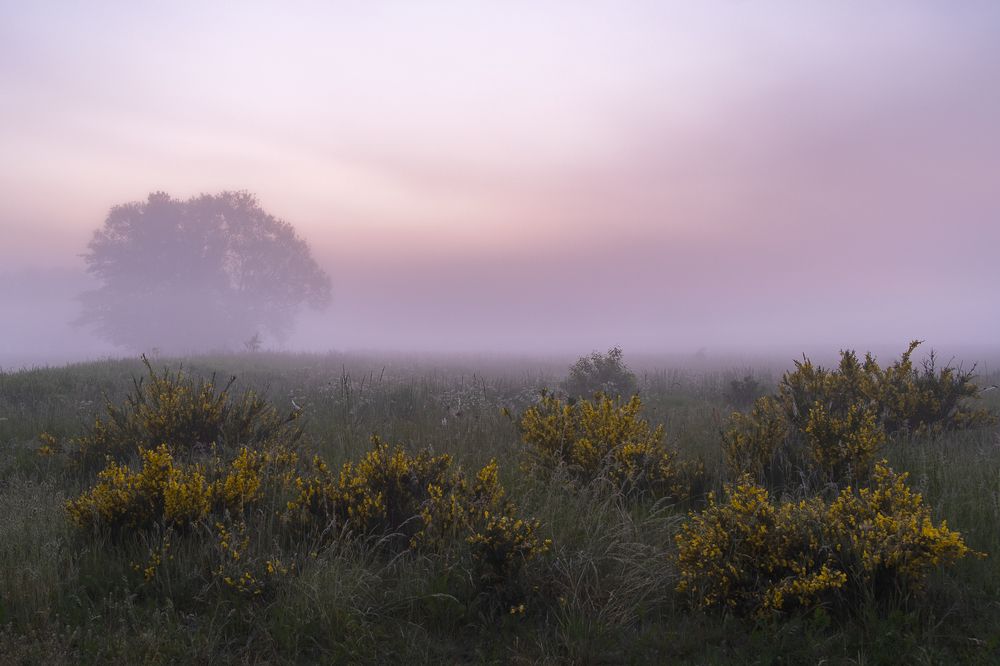 Фотография автора Tomasz Podgórny