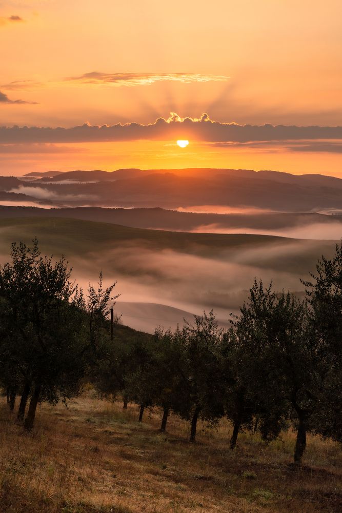 Photograph by Олег Гуляков