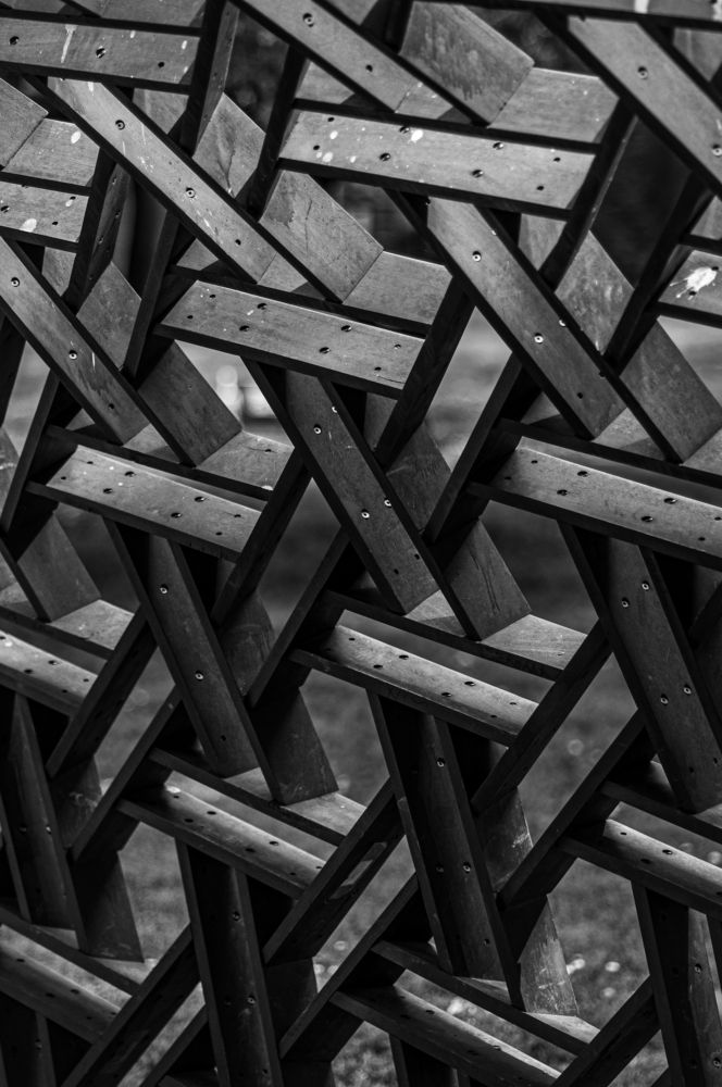 Photograph by Ольга Кудина