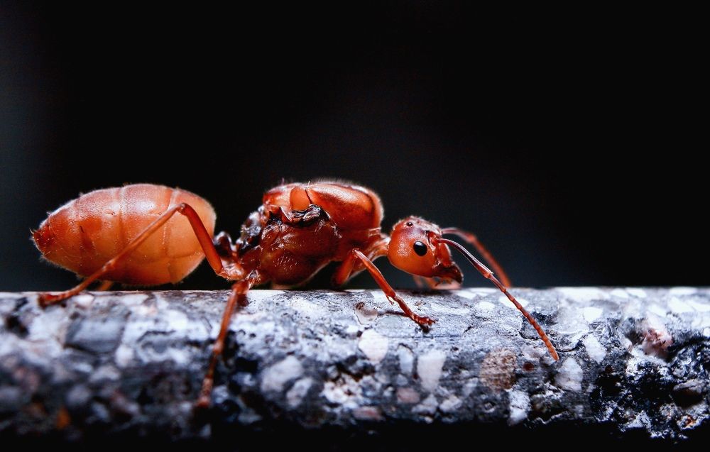 Photograph by Yusuf Buchari